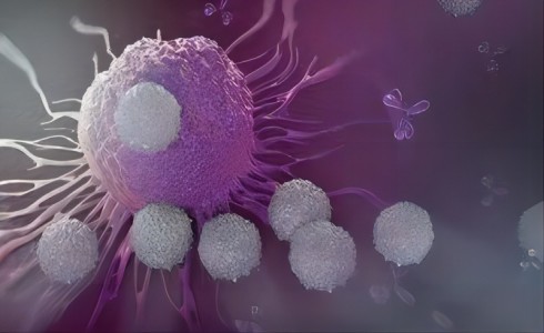干货 | 细胞鉴定——成瘤性检查方法及法规解读